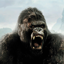 Nice. member gorillanice